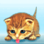 Chaton l�chouille �cran