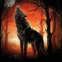 Loup hurlant � la lune rouge