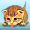 Chaton léchouille écran