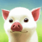 Bébé cochon mignon